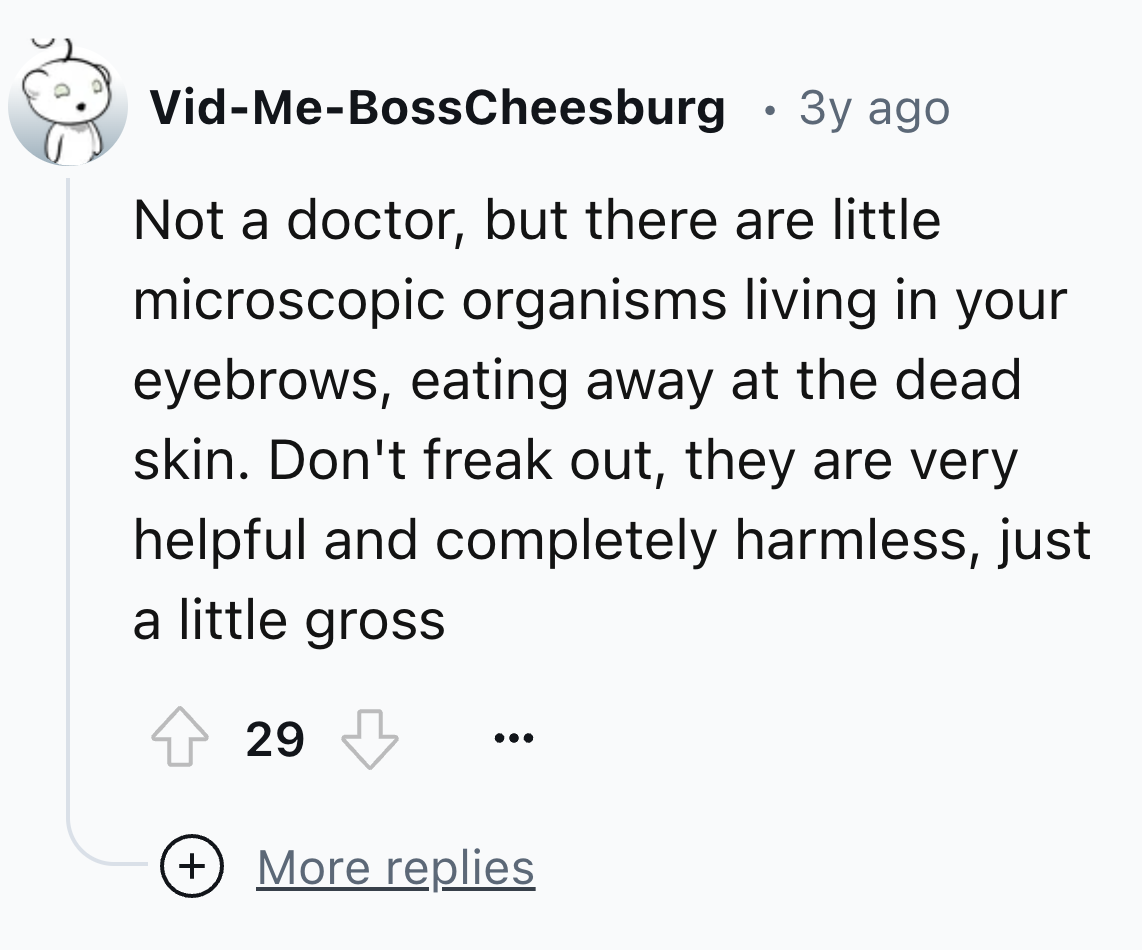number - VidMeBossCheesburg . 3y ago Not a doctor, but there are little microscopic organisms living in your eyebrows, eating away at the dead skin. Don't freak out, they are very helpful and completely harmless, just a little gross 29 More replies